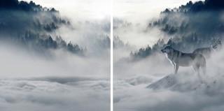 Produktbild Eibert Visual Bilder (65 x 65 cm)