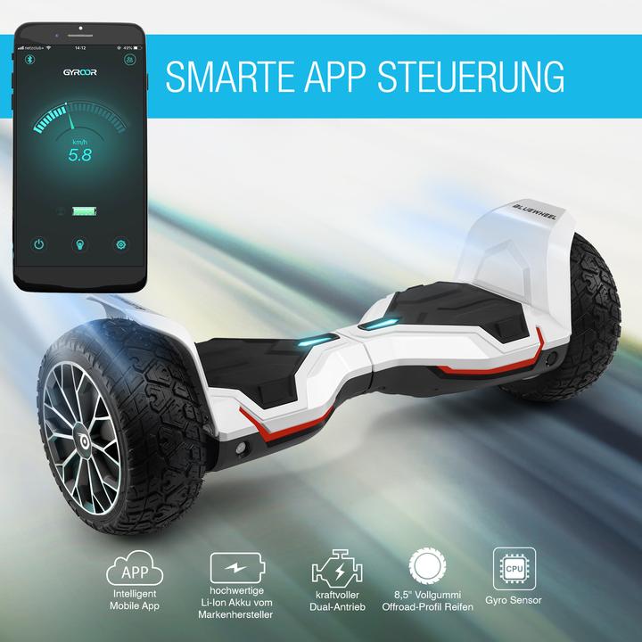 Produktbild Bluewheel HX510 V2 (15 km/h)
