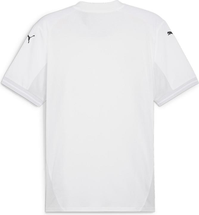Produktbild Puma teamFINAL Jersey (L)