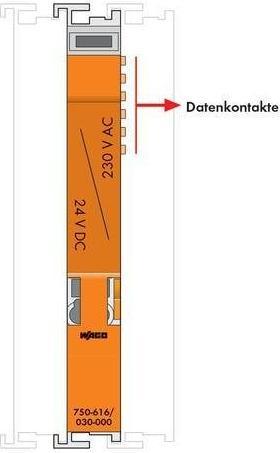 Actual product image Wago Spacer clamp