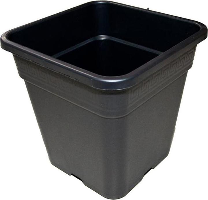 Actual product image Tamar Square pot