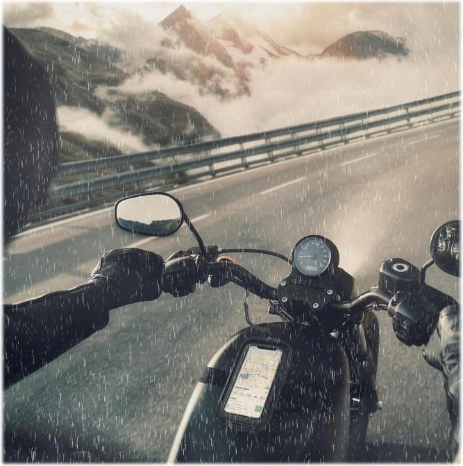 Actual product image Celly Case