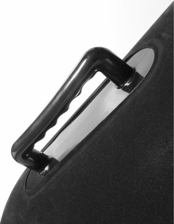 Image du produit Pipedream Log gonflable au vent