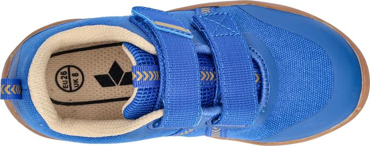 Image du produit Lico Aride V (25)