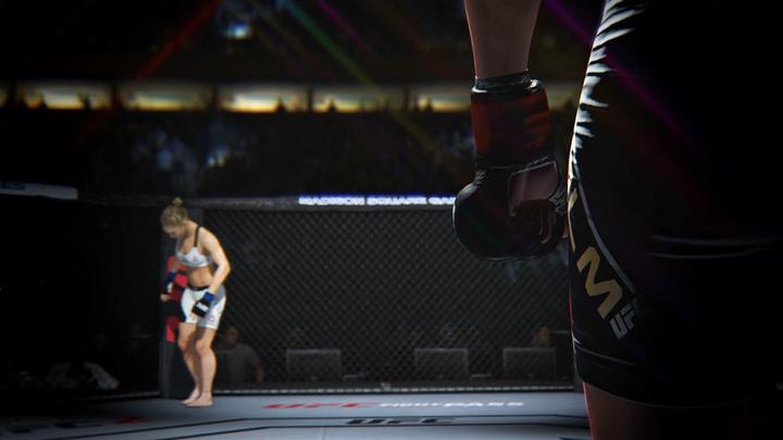 Produktbild EA Games UFC 2 (Xbox One X, Xbox Series X, IT)