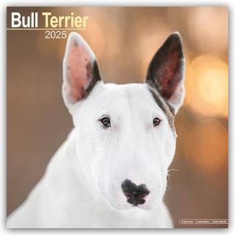 Avonside Publishing Ltd:Bull Terrier - (305 x 305 mm, Deutsch)