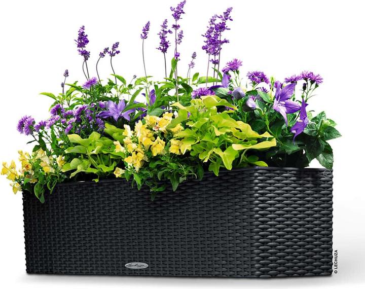 Image du produit Lechuza Chalet Balconera (79 x 19 x 19 cm)