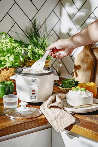 Actual product image Adler Rice cooker