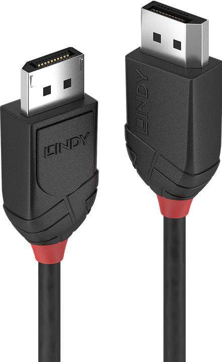 Produktbild Lindy DisplayPort — DisplayPort (0.50 m, DisplayPort, 1.2)