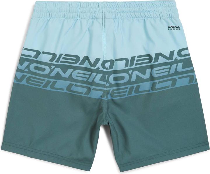 Produktbild O'Neill Cali Stripe 14" Swimshorts (164)