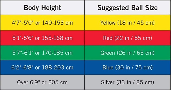 Immagine prodotto TheraBand Palla da ginnastica (45 cm)