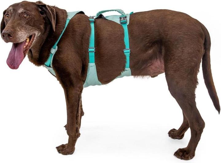 Image du produit Ruffwear Harnais Flagline (M, Chien, Général)
