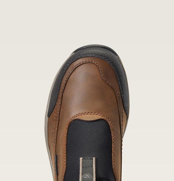 Image du produit Ariat Terrain Ease H2O (36.5)