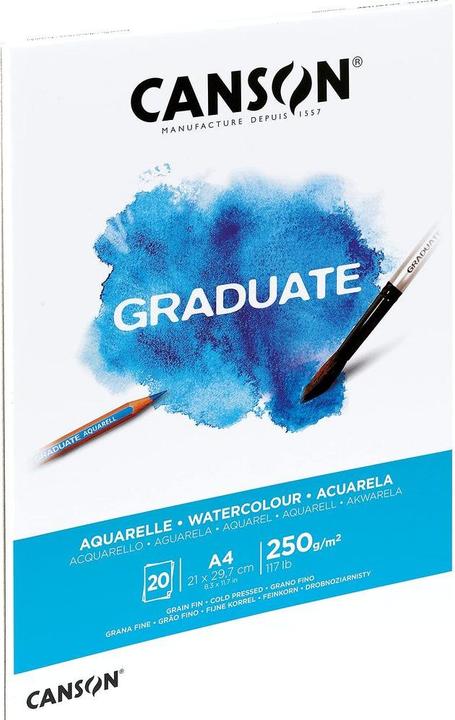Image du produit Canson Diplômé (A4, Blanc)