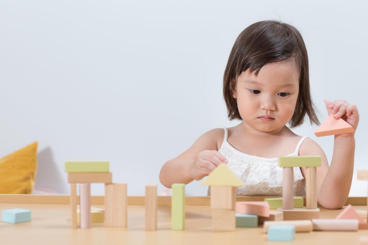 Actual product image Plantoys 40 wooden blocks pastel