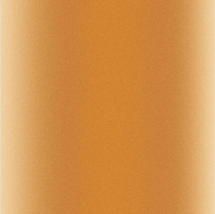 Produktbild Cricut Aufbügelfolie Infusible Ink Leopard 30.5 x 30.5 cm, 4 Stück