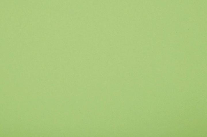 Image du produit Folia Papier tonique, DIN A4, 130 g/qm, maigrn (130 g/m², 100 x)