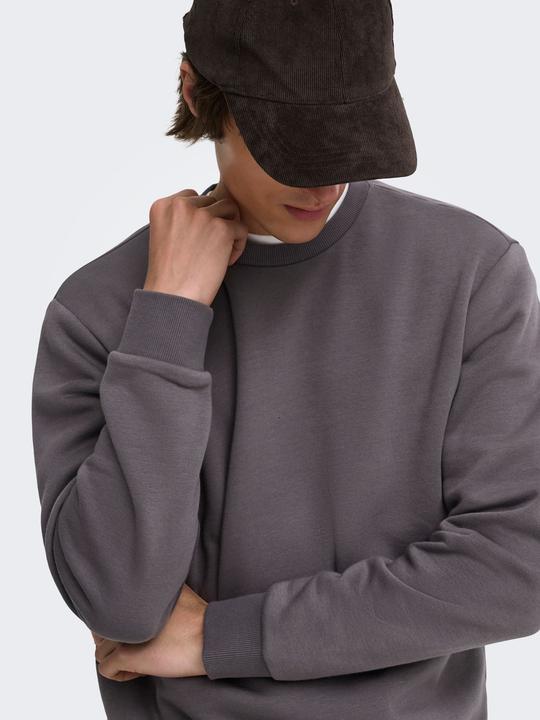 Actual product image Only & Sons Onsceres Crew Neck Noos (L)