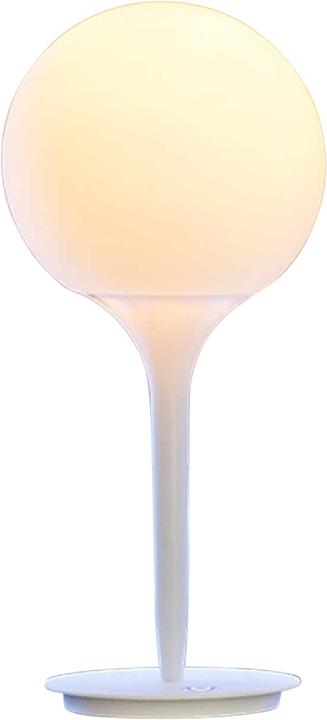 Image du produit Artemide Castore (402 lm, E14)