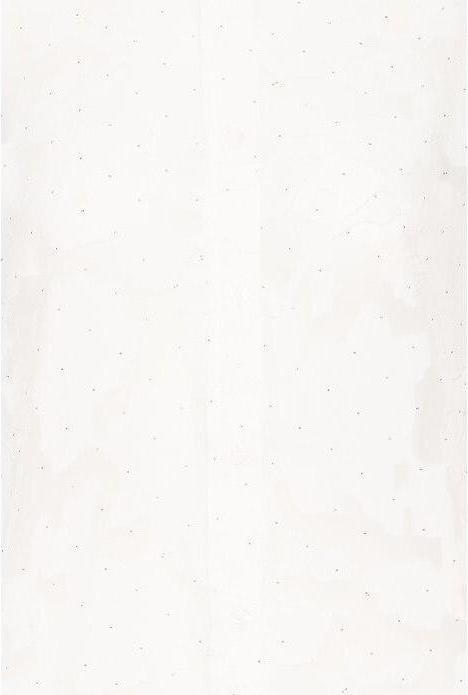 Immagine prodotto Fransa Rhinestone 1 (XXL)