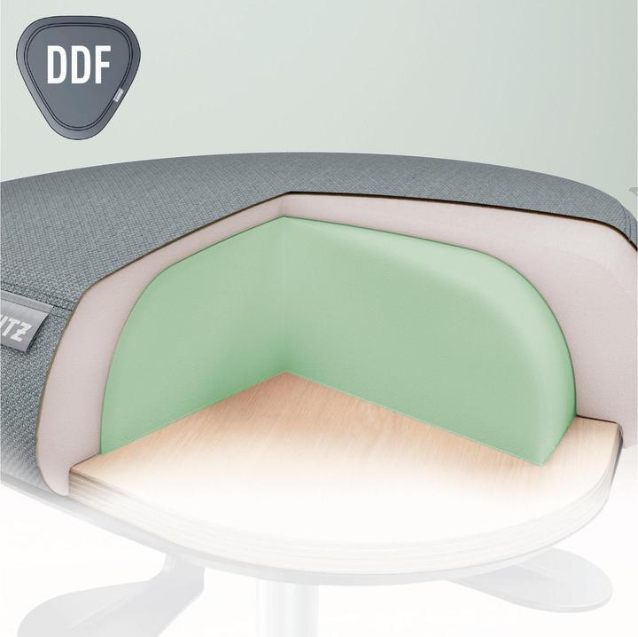 Actual product image Leitz Ergo Active