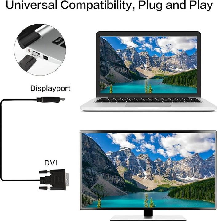 Produktbild Techly DisplayPort — DVI (2 m)