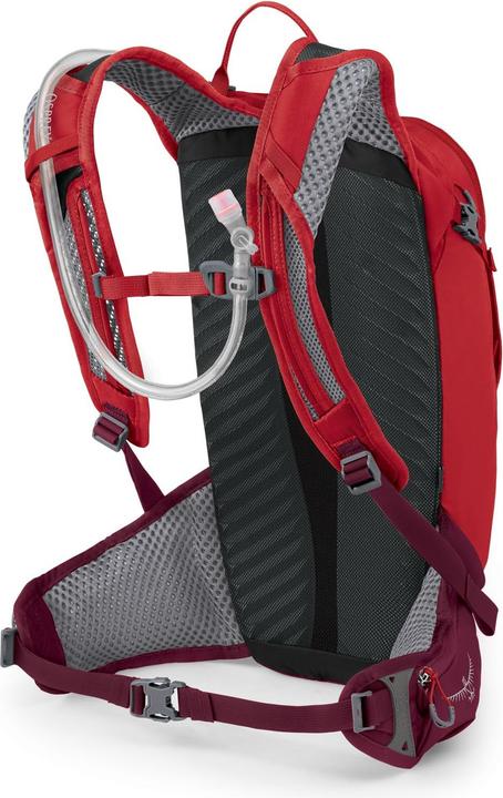 Actual product image Osprey Backpack Siskin 12L 2024 (12 l)