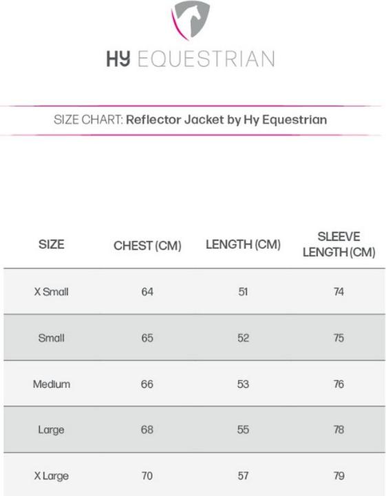 Actual product image HyVIZ Jacket (L)