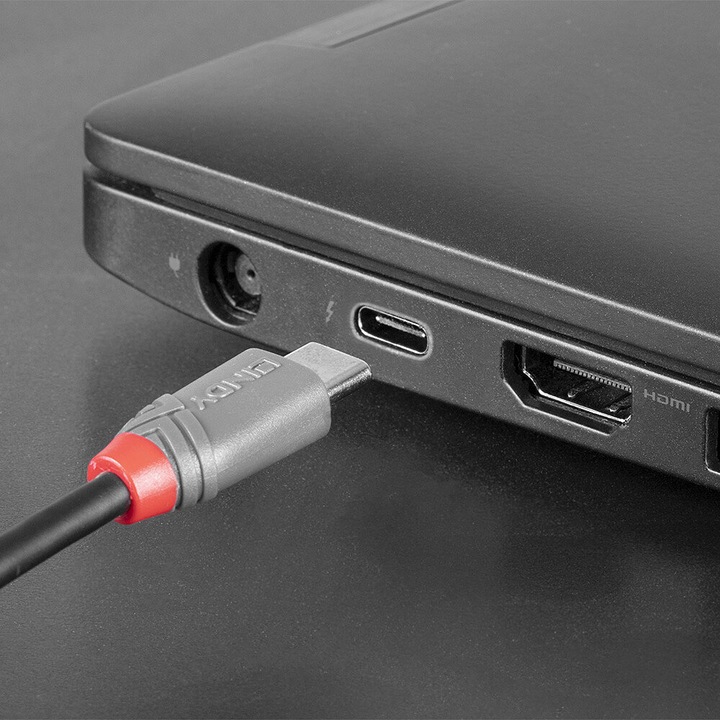 Actual product image Lindy Anthra Line (0.50 m, USB 2.0)