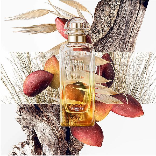 Image du produit Hermès Eau de Toilette (Eau de toilette, 100 ml)
