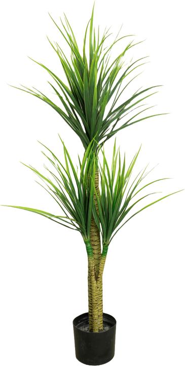 Immagine prodotto Novidarte Dracaena artificiale (120 cm)