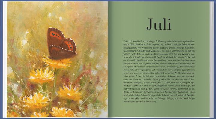 Image du produit Der illustrierte Vogelkalender 2026