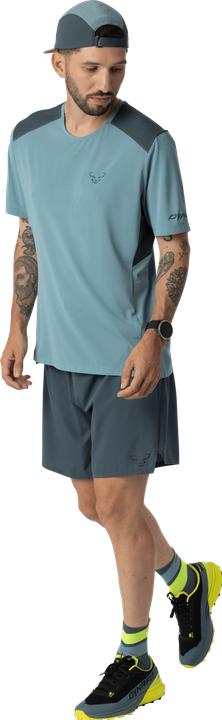 Produktbild Dynafit Alpine Shorts (46, S)
