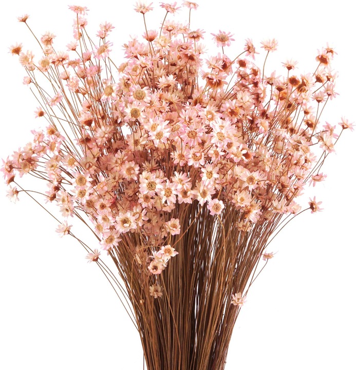 Geschenkkörbe CH Marcela Trockenblumen, rosa (Fleurs séchées)