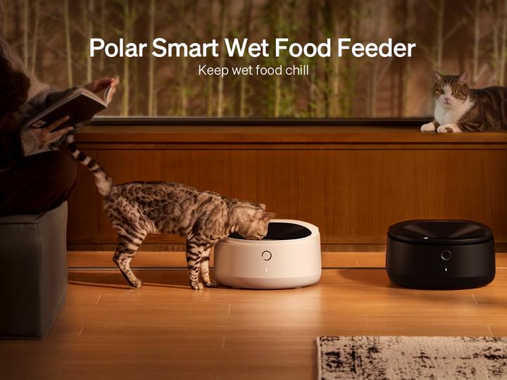 Produktbild Petlibro Polar Smart Wet Food Feeder