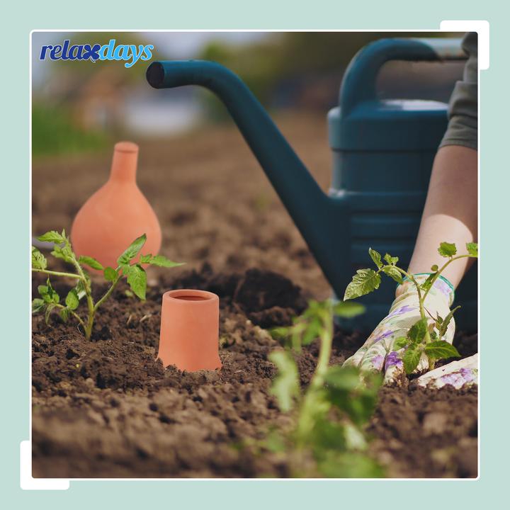 Image du produit Relaxdays Olla (Cône d'argile)