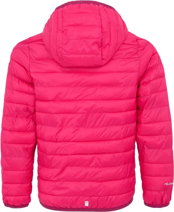 Produktbild Regatta Hillpack III Kapuzenjacke (170, 176)