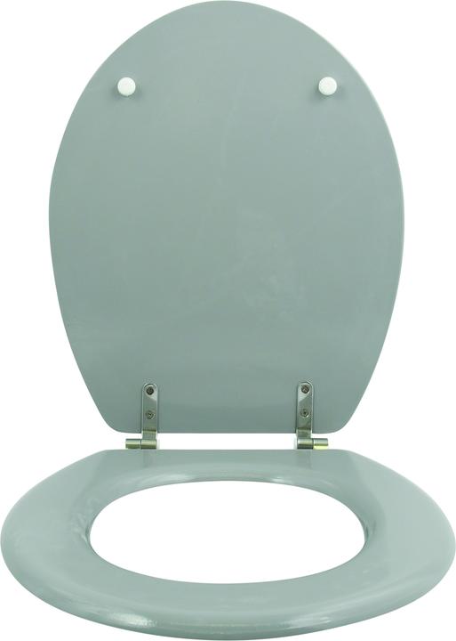 Image du produit MSV Cléo