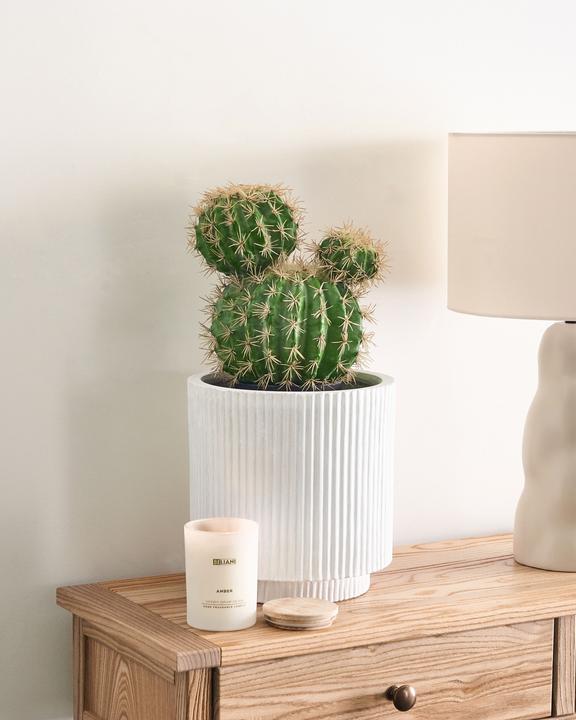 Actual product image Beliani Ball Cactus (33 cm)