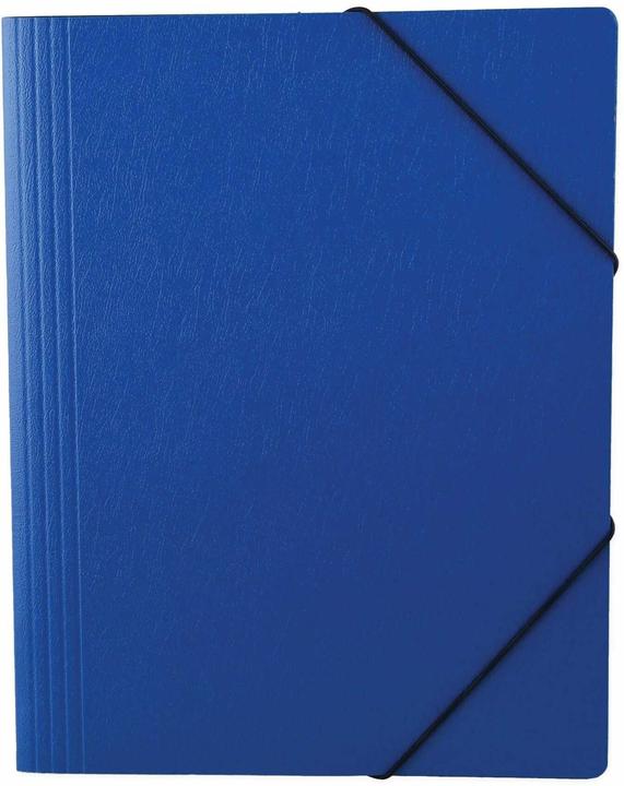 Erola Copertina per rilegatura in cartone A4, 350 g/m², 100 pezzi, blu