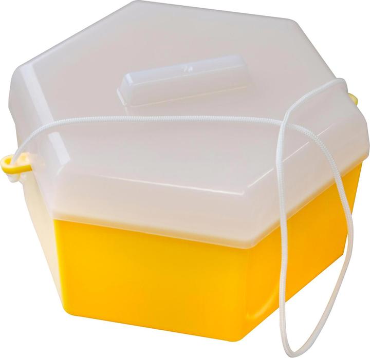 Actual product image Windhager Wasps and flytrap