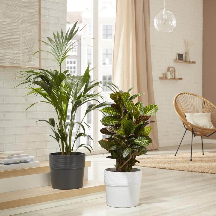 Produktbild Scheurich Groove 30 (28 x 28 cm)