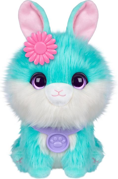 Image du produit Moose Scruff-A-Luvs Pet pack individuel (19 cm)