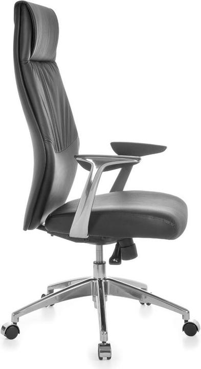Image du produit Amstyle Oxford 1 (47 - 57 cm)