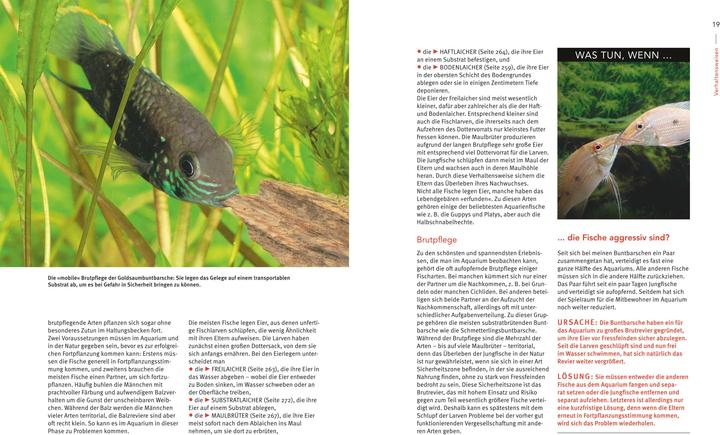 Immagine prodotto Das grosse Praxishandbuch Aquarium (Tedesco, Ulrich Schliewen, 2017)