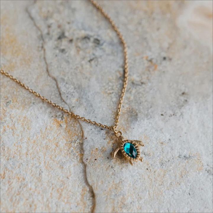 Image du produit Paul Hewitt Turtle (Marinium Ocean Steel)