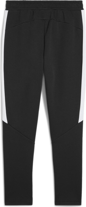 Actual product image Puma teamEVOSTRIPE Pants (XL)