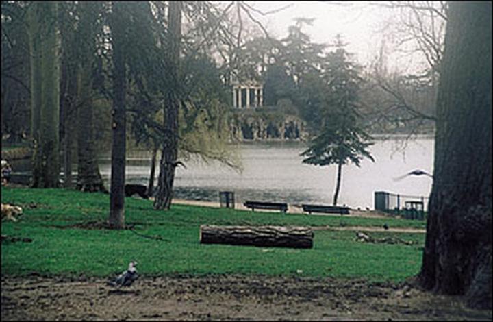 Produktbild Cokin Filter A150 Verlauf Nebel 1 (67 mm, ND- / Grauverlauffilter, 62 mm)