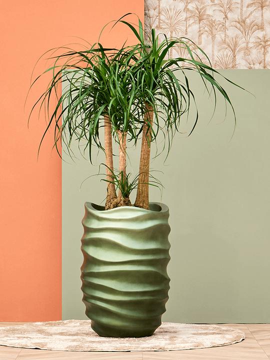 Produktbild Baq Design Gradient Lee Parnter (40 x 61 cm)