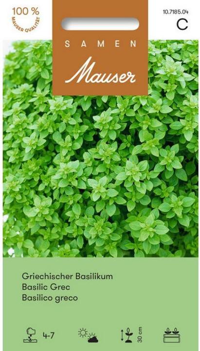 Produktbild Samen Mauser Samen Griechischer Basilikum (Kräutersamen)